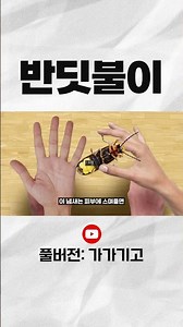 나는 개똥벌레 친구가.. 많네?