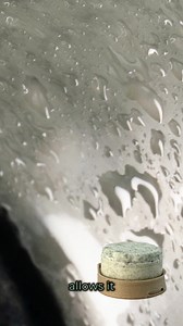 1.8M views · 1.6K reactions | Traditional hair care is harsh—sulfates and parabens strip and damage your hair. This holiday season, switch to Stem's seven clean ingredients for soft, radiant hair. | Swell Labs | Facebook