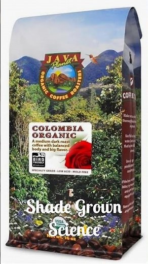 Why Java Planet Feels Gentler