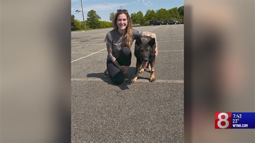 Connecticut nonprofit provides support to retired police dogs