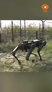 Robotic Mule: Army's New Vigilant Partner