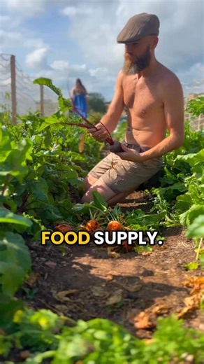 After Covid, most people went back to sleep. But some of us didn’t. We rebuilt our lives from the ground up land, food, energy, structures, community. And now we’re helping others do the same. So if you want guidance… a network… and a clear path out of the system 💬 Comment **JOIN** and I’ll send you the link. | Wild Minds