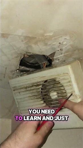 He Was So Tall I Didn’t Need a Ladder 😜 Best Apprentice Ever!