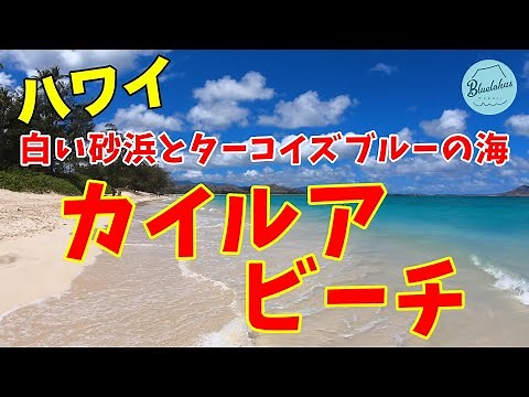 【美しすぎるハワイのビーチ】カイルア・ビーチ｜ターコイズブルーの海と白い砂
