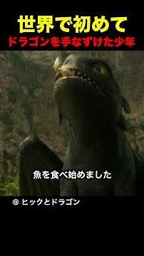 The first boy in the world to tame a dragon
