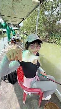 Học câu cá trắm #caucachill #fishing #mayfishing