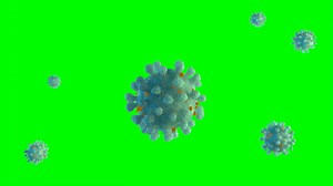 Realistic Medical Animation Of Antibodies Stock Motion Graphics SBV-338355892 - Storyblocks