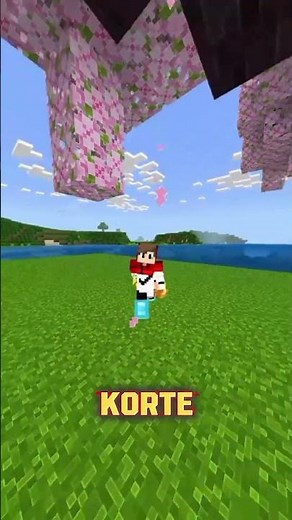 Minecraft Tinted Glass Uses You Didn’t Know! 🪟 #Minecraft #Shorts