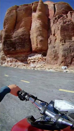 This motorcycle ride went WRONG 🤯🏍️ #gaming #simulation