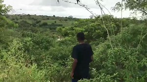 1M views · 22K reactions | merenda sumiu meu povo, minha jeguinha | Menor Nico | Facebook