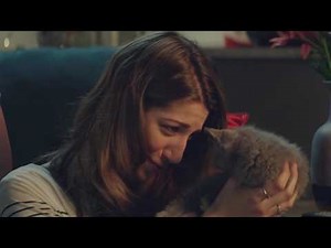 McVitie’s Chocolate Digestives Nibbles