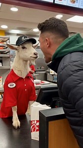 Funny AI Cat Video Papa John's Employee Confrontation Parody. #viralvideo #explorepage #fyp #trending #lol | Abdullah Megdad