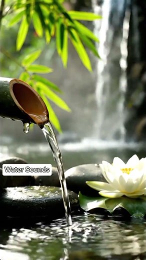 Relaxing Water Sounds 💧 Bamboo #watersounds #asmr #sleep #relaxing #meditation #zen #nature