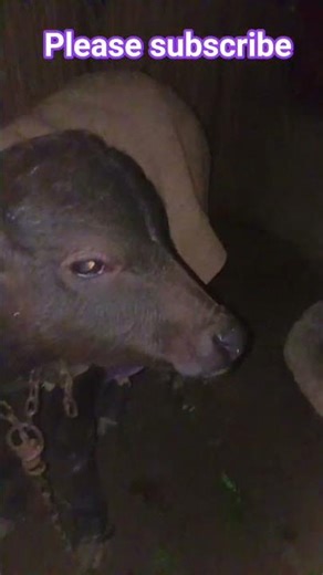 Smart Home!😍 Amazing Inventions, Kitchen Tools, New Life Hacks 🙏 #shorts #Inventions​ #funny #comedy