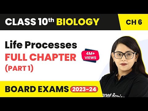 Life Processes Class 10 Full Chapter (Part 1) | CBSE Class 10 Biology Chapter 6 2022-23