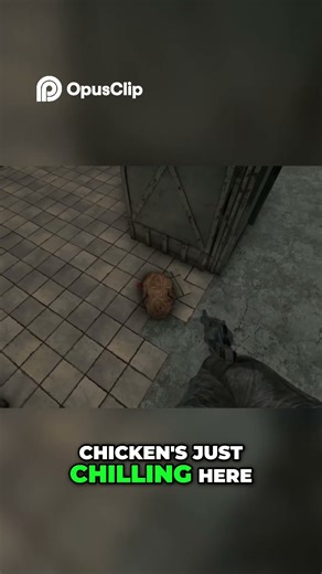 The Chicken Is Stuck In The Doorway! WUT?!