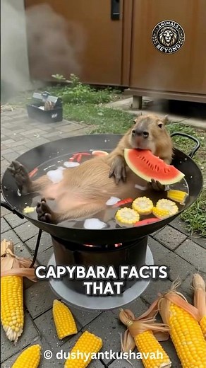 Capybaras: Chillest Animals on Earth… or Undercover Geniuses?