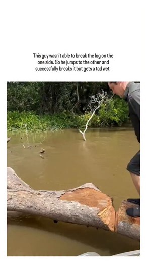 viral_diaries on Instagram: "This post from @DudespostingWs shares a user-submitted video of a man using a pry bar to dislodge a log blocking a narrow bridge over murky tropical waters, where his successful effort leads to a comedic splash landing. The clip, set in a lush forested area likely during a boating excursion, exemplifies the account's niche in wholesome fails, amassing 600,000 views and 1,100 likes in under 12 hours through relatable slapstick humour. Replies draw parallels to cartoon