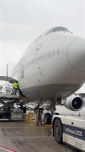Frankfurt Heavy Traffic: A340-600, 747-8i, 787-9