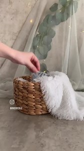 Floofcats Crochet Pattern (the OG): 7 in 1 Chubby Cat Crochet Amigurumi (english PDF) - Etsy Australia