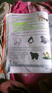 Animals that live on land are called terrestrial animals. They ... | Filo