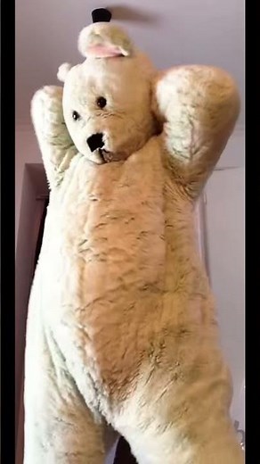 He is stuck in the bear costume