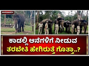 How To Train Elephants | Elephant Training In Chamarajanagar | Karnataka Forest | Vijay Karnataka
