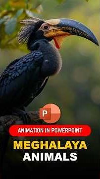 Bring Meghalaya's Wildlife to Life with PowerPoint Animation! 🐅🌿 #powerpoint #powerpointtutorial