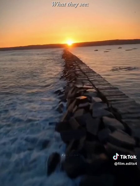 I love making these types of videos #fyp #dragons #httyd #viral #toothless #cool #stormfly #flying #astrid #cute #whatif #amazing #nightfury #edit #real #httydedit #parallel #trend #cat #deadlynadder #drone #pretty #fypシ #plsblowup #trending #foryou