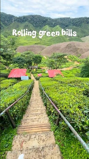 Mini switzerland in Malaysia?? 👀 📍Cameron highlands, Malaysia