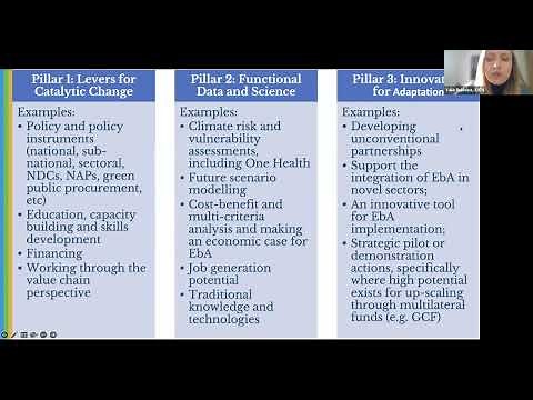 How to develop a logical framework and budget for the Global EbA Fund project proposal