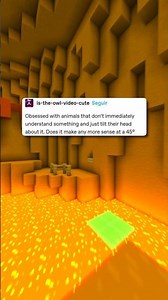 Tilted Thinking! 🦉🤔