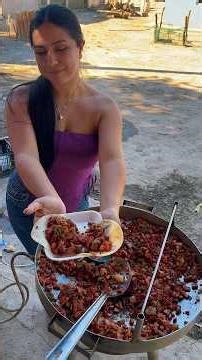 Sinaloa-style discada recipe for 15 people