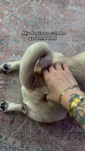 Does this happen to anyone else? #pug #pets #dougthepug