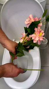 Toilet Paper Holder 🌸 | Genius Inventions