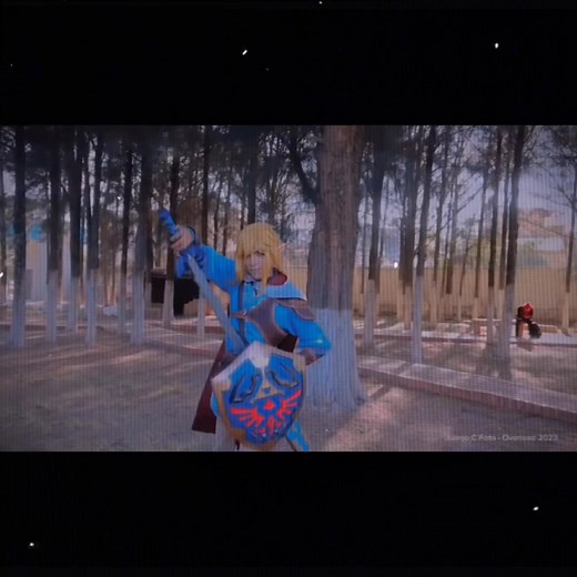 Zelda Tears of the Kingdom Link Cosplay Scene