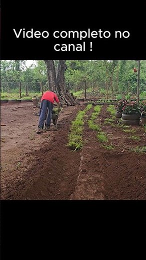HOW TO PLANT GRASS FOR FREE 🌱💸 | Simple Step-by-Step Guide!