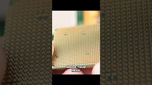 Existentialism vs absurdism vs nihilism: Understanding life’s philosophies