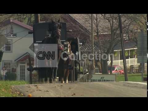 AMISH HORSE-DRAWN WAGON