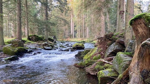 Zwischen Spessart und Karwendel: Wandern, Fliegenfischen und Mineralien sammeln am Rothbach