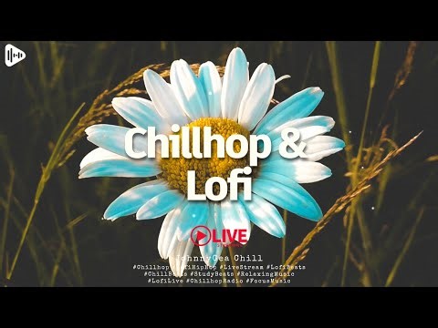 🎧 Lofi & Chillhop Live – Cozy Beats for Relaxation, Focus & Good Vibes