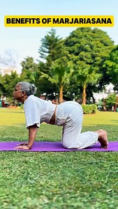 Benefits of marjariasana(cat pose)✅ . #yoga #yoga #health #marjariasana #catpose #reels #insta #explore #viral | Neeru Saini