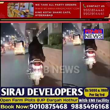 92K views · 866 reactions | Don't Use #Mobile While #Driving | RNB News | Facebook