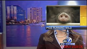 Funny Videos, Epic Fails - Fail Compilation - Funny Bloopers - News Fails