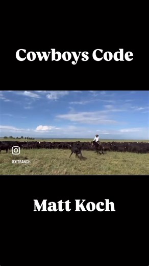 The XIT Ranch welcomes 2020 Stallion COWBOYS CODE! Thank you to Wagonhound for the opportunity to have this incredible half-brother to Sparkles in our program. Matt Koch will continue to train and show “Turbo” and we can’t wait to see what 2025 has in store for this team. The 2020 Black Stallion has Lifetime Earnings of $28,595. 2024: top 10 California RCHA Open Futurity; Colorado RCHA Mid-America Open Futurity Cham- pion (Herd, Fence, & Rein Work Champion); split 6th Idaho RCHA Open Futurity; C