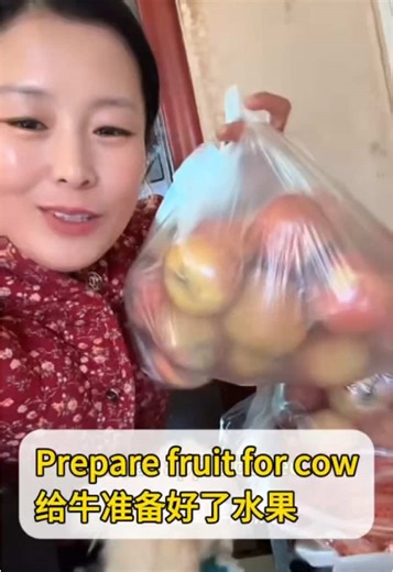 Prepare fruit for cow 给牛准备好了水果