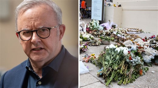 Old footage surfaces appearing to show Albo at pro-Palestine rally