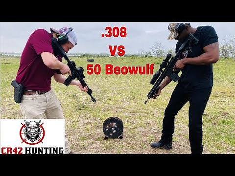 308 vs 50 Beowulf - penetration test.