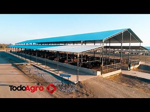 A model feedlot that harvests data and transfers knowledge