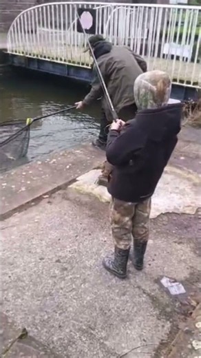 Jack Pike 2025 #fishing #pikefishing #predator #shorts #canal #pike #fishinglife #uk